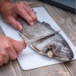 6-Piece Fish Fillet Set for Kitchen Tasks