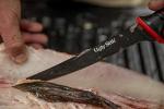 Ugly Stik 9 Inch Flex Fishing Fillet Knife