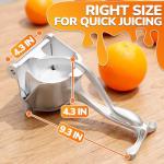 Handheld Aluminum Fruit Juice Squeezer - Easy Use