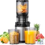 Cold Press Juicer with Wide Feed Chute