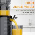 KIAMITH 300W Slow Masticating Juicer - Easy Clean