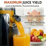 Celiberry Cold Press Juicer with Large Feed Chute