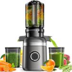 GlowWise Slow Masticating Juicer for Whole Fruits
