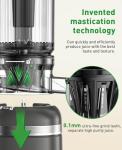 GlowWise Slow Masticating Juicer for Whole Fruits