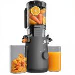 Cold Press Juicer with Large Feed Chute