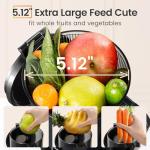 Ventray Slow Masticating Juicer with Large Feed Chute