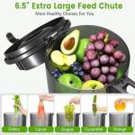 High Yield Cold Press Juicer with Wide Chute