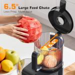 Cold Press Juicer with Large 6.5" Feed Chute
