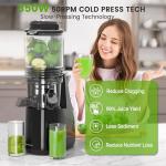 High Yield Cold Press Juicer with Wide Chute