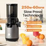 Ventray Slow Masticating Juicer with Large Feed Chute