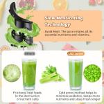 5.4" Cold Press Juicer for Whole Fruits & Veggies