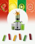 ECOSELF Slow Masticating Juicer with Wide Chute