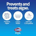 Clorox® Pool&Spa™ Swimming Pool Algaecide and Clarifier, Prevents and Treats Pool Algae, Clears Water, 128 Fl Oz (Pack of 1)