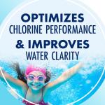 ARM & Hammer Clear Balance Swimming Pool Alkalinity pH Maintenance Tablets, White, 1 Pack, 24 Count