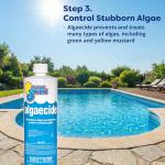 In The Swim Pool Basic Opening Chemical Start Up Kit - Above Ground and In-Ground Swimming Pools - Up to 7,500