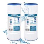 PELLUCID C1200 Pool Filter Compatible with Hayward C1200, CX1200RE, Pleatco PA120, Unicel C-8412, Filbur FC-1293, Clearwater II 125, Waterway Pro Clean PCCF-125, 817-0125N, 120 sq.ft, 2 Pack