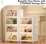 CTSNSLH 4 Tier Plastic Storage Bins and Boxes Organizer - Stackable with Lids for Bedroom, Living Room, Office - Foldable Containers