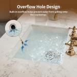 DeerValley DV-1U101 Ally Undermount Bathroom Sink Rectangular, 21'' x 14.72'' Vessel Sink Undermount Bathroom Sink White Ceramic Lavatory Vanity Vessel Sink with Overflow