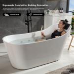 Empava 67-Inch Freestanding Jetted Bathtub with Pillow