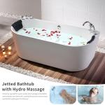 Empava 59" Oval Hydromassage Freestanding Tub