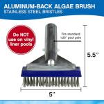 Poolmaster 5-Inch Stainless Steel Pool Algae Detail Brush, Heavy-Duty Aluminum Back, for Gunite Concrete Pools and Spas, Small Narrow Head for Corners, Steps and Tight Areas