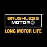 DEWALT 20V MAX XR Oscillating Tool Kit with Blades, 3 Speed Cordless Brushless Multitool, Up to 20,000 OPM, LED Light, Battery and Charger Included (DCS356C1)