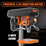 WEN 8-Inch 5-Speed Cast Iron Drill Press