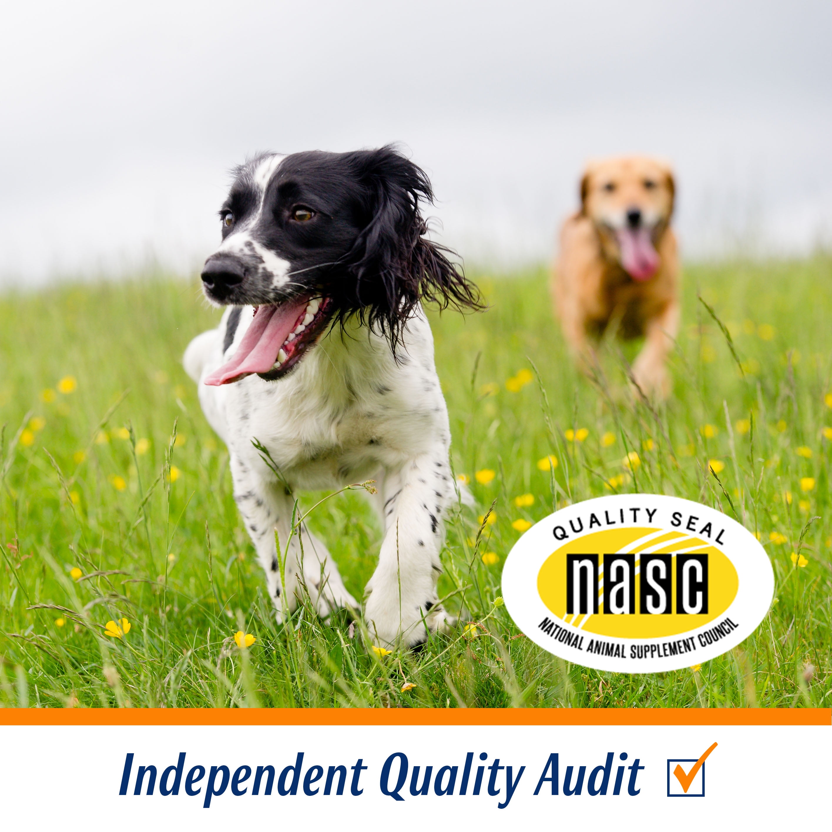 Pro-Sense Joint Care Chews for Dogs