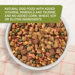 Rachael Ray Nutrish Chicken & Brown Rice Dog Food