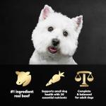 Cesar Dry Dog Food, Filet Mignon Flavor, 5 lb