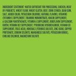 Strong Heart Country Stew Wet Dog Food - 12 Cans