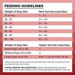 BIXBI Liberty Freeze-Dried Beef Dog Food Topper