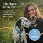 Flea and Tick Shampoo for Dogs and Cats