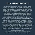 Instinct Raw Boost Dry Dog Food - Lamb & Oatmeal