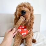 Nylabone Natural Roast Beef Dog Chews - Medium