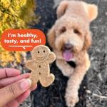 Grain-Free Crunchy Peanut Butter Dog Treats 14 oz
