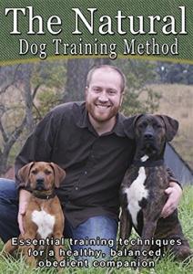 Natural Dog Training Techniques for a Happy Companion