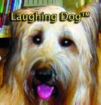 Laughing Dog Fun Music for Pups