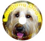 Laughing Dog Fun Music for Pups