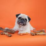 Nylabone Natural Roast Beef Dog Chews - Medium