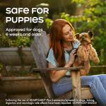 Heartworm Prevention Chewables for Dogs under 25 lbs