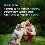 Simparica Trio Chewable for Dogs 22-44 lbs