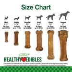 Nylabone Natural Roast Beef Dog Chews - Medium