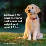 Simparica Trio Chewable for Dogs 22-44 lbs