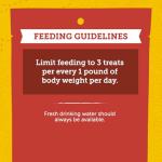 Zuke's Mini Naturals Beef Training Dog Treats