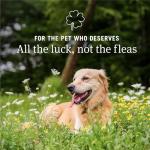 PetArmor Fast-Acting Oral Flea Treatment for Dogs