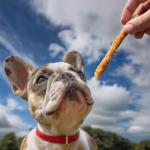 Chicken-Wrapped Rawhide Twists for Dogs, 16 oz