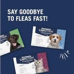 PetArmor Fast-Acting Oral Flea Treatment for Dogs