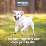 Nutramax Cosequin Joint Health Chewable Tablets for Dogs