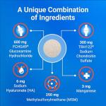 Nutramax Cosequin Joint Health Chewable Tablets for Dogs